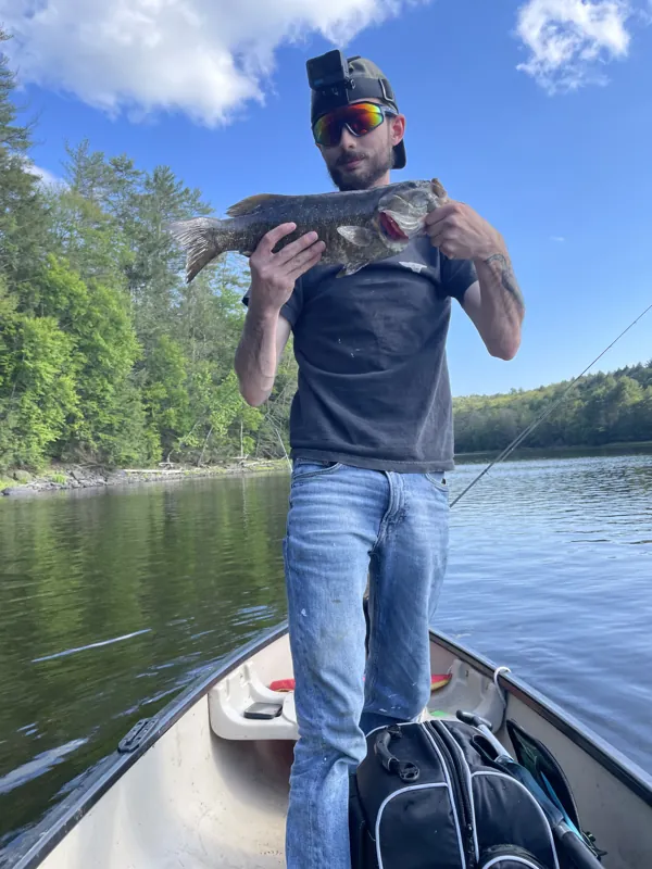 An angler in sunglasses stands in a canoe under a blue sky, holding a bass across the chest