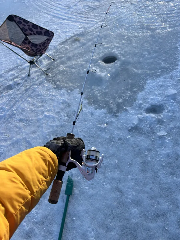A gloved hand holds a small rod over a hole in the ice