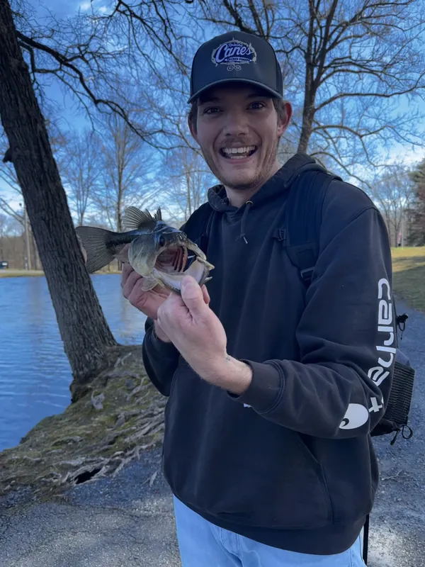 A grinning angler on a lake shore holds up a bass