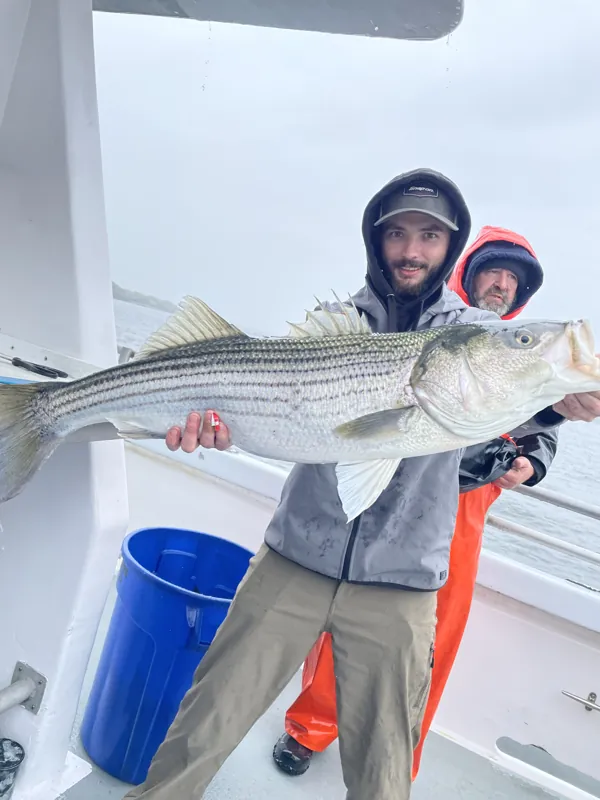 Two anglers in rain gear on a boat deck hold up a long striped bass